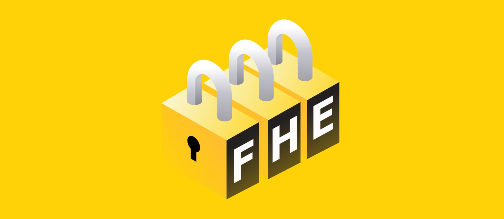 完全同态加密（FHE）：开启隐私保护计算的未来